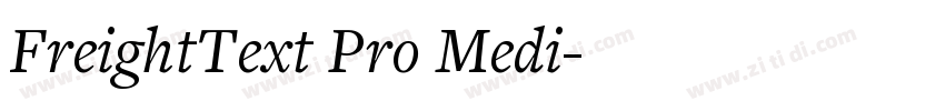 FreightText Pro Medi字体转换
